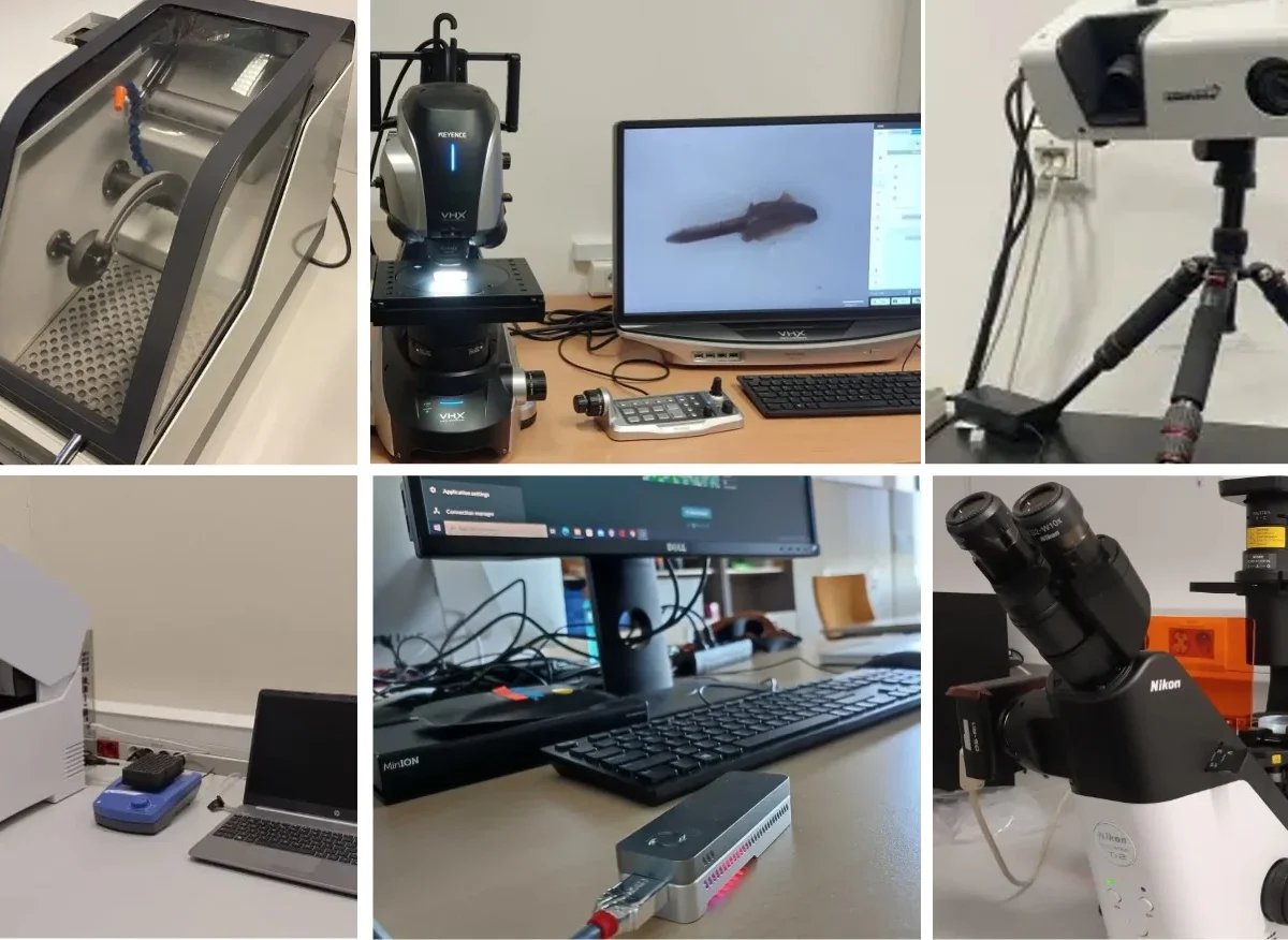 Laboratorium Badań Bioróżnorodności i Ewolucji