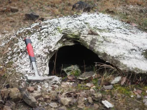 Młoda jaskinia z hydratacji o niewielkich wymiarach rozpoznana w kamieniołomie.